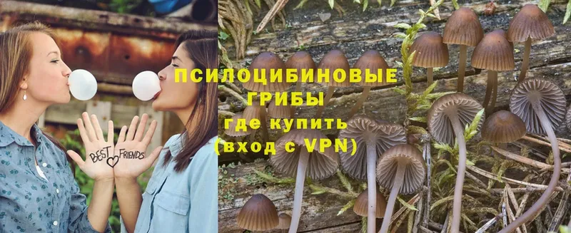 даркнет состав  Лабытнанги  Псилоцибиновые грибы Psilocybe 